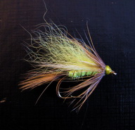 ���� ������ Wet fly 